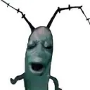 plankton