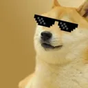 doge