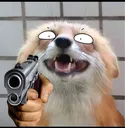 ShutIt ShutIt