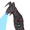 KrillGift