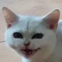 LunaHehe