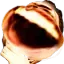 lmao_the_forth lmao_the_forth