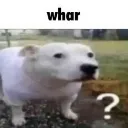 whar