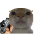CatGun
