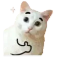 Cat Ok catok Discord Emoji