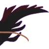 krillsridetail