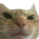 emoji_6 emoji_6