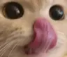 slurp