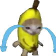banana_cat