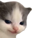 alsovalerion alsovalerion