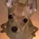 excuseme