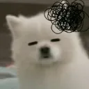 d_ovtk