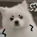 d_angry