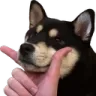 thinkBoye