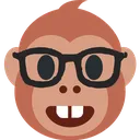 nerdmonkey