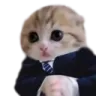 BusinessCat