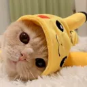 Cats_Pika Discord Emoji