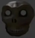 skall skall