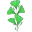 flower1_SS