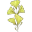 flower2_SS