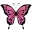 2_SS