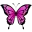 3_SS