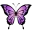 PurpB_SS