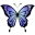 5_SS