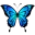 BluB_SS
