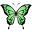8_SS