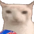 veryCat