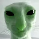 mipzorp
