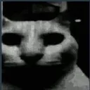 Blackcat BlackCat Discord Emoji