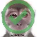 autorizo