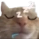 gatin_sleep