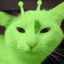 gnarp