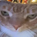 __