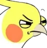 ccbirbsus