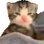 kit_soeepy