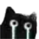 zz_4leo_cri