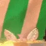 PolkaPeekNod