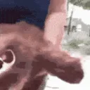 feral