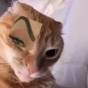 sus sus