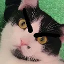 angryboi angryboi