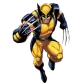 wolverine