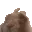 vibinbunny