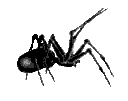 8271spider1