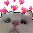 catlovedonotsteal