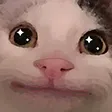 catwowdonotsteal