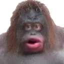 monkeyface monkeyface